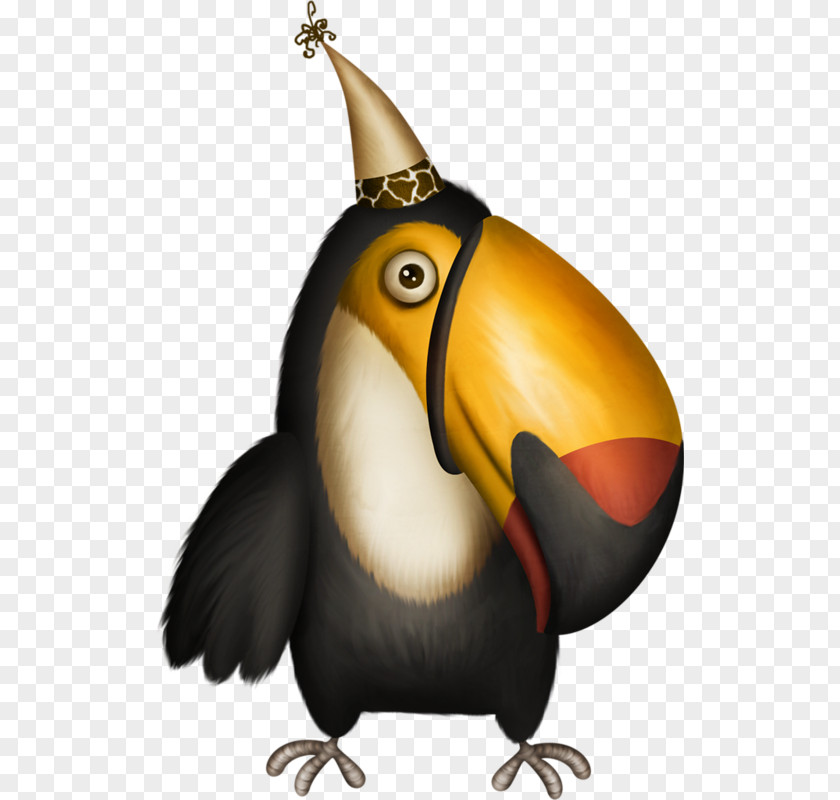 Bird Toucan Woodpecker PNG
