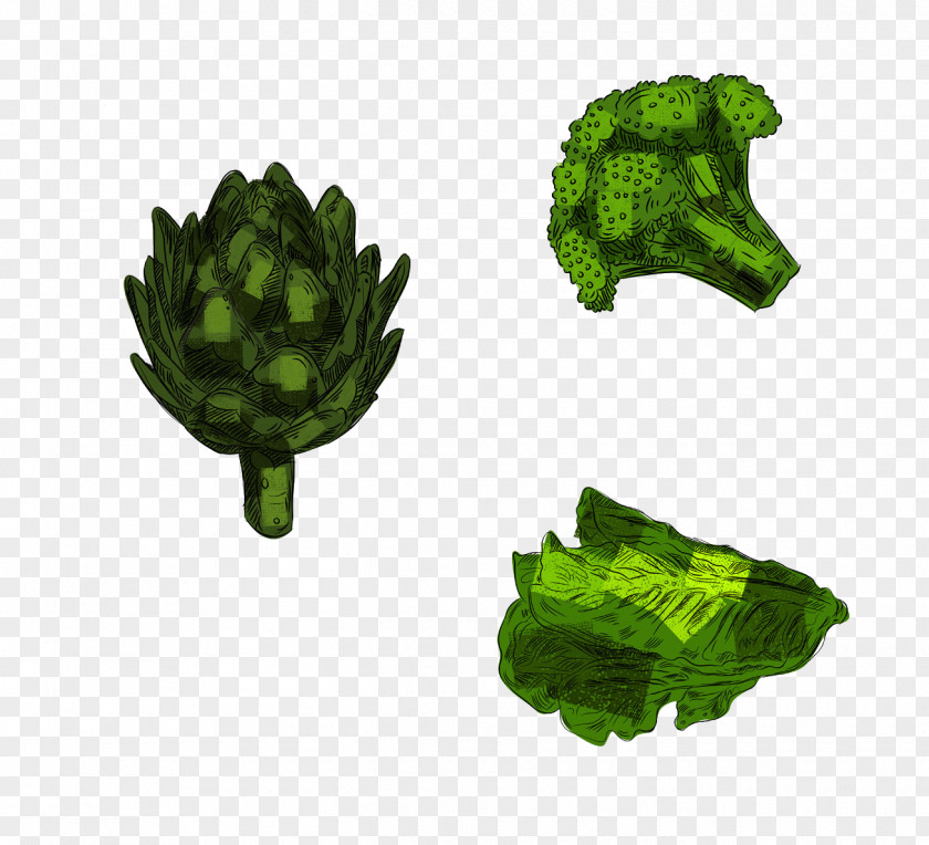 Cauliflower Vegetable Broccoli Food PNG