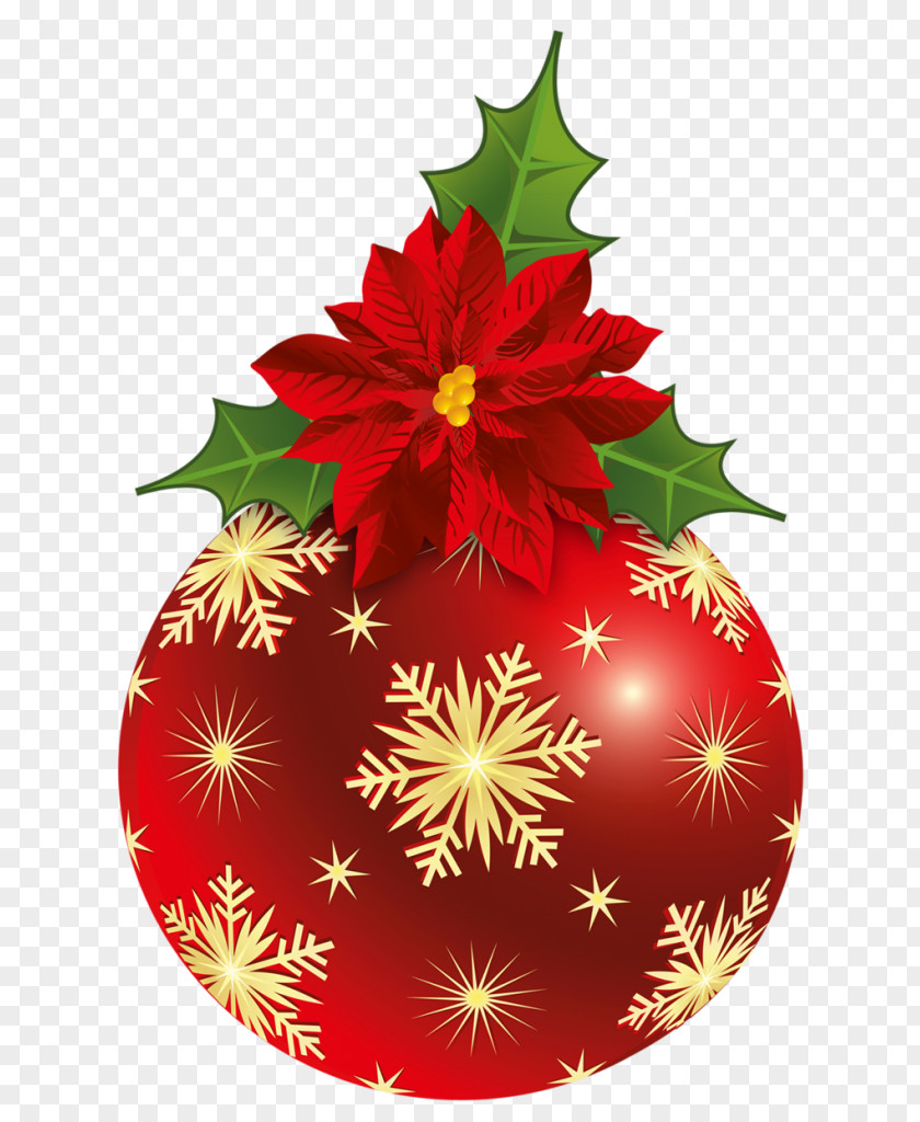 Christmas Tree Graphics Day Poinsettia Clip Art PNG