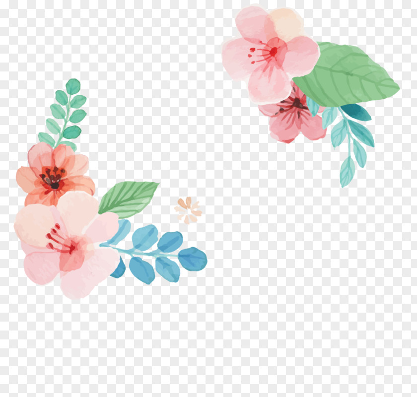 Geranium Malvales Cherry Blossom Background PNG