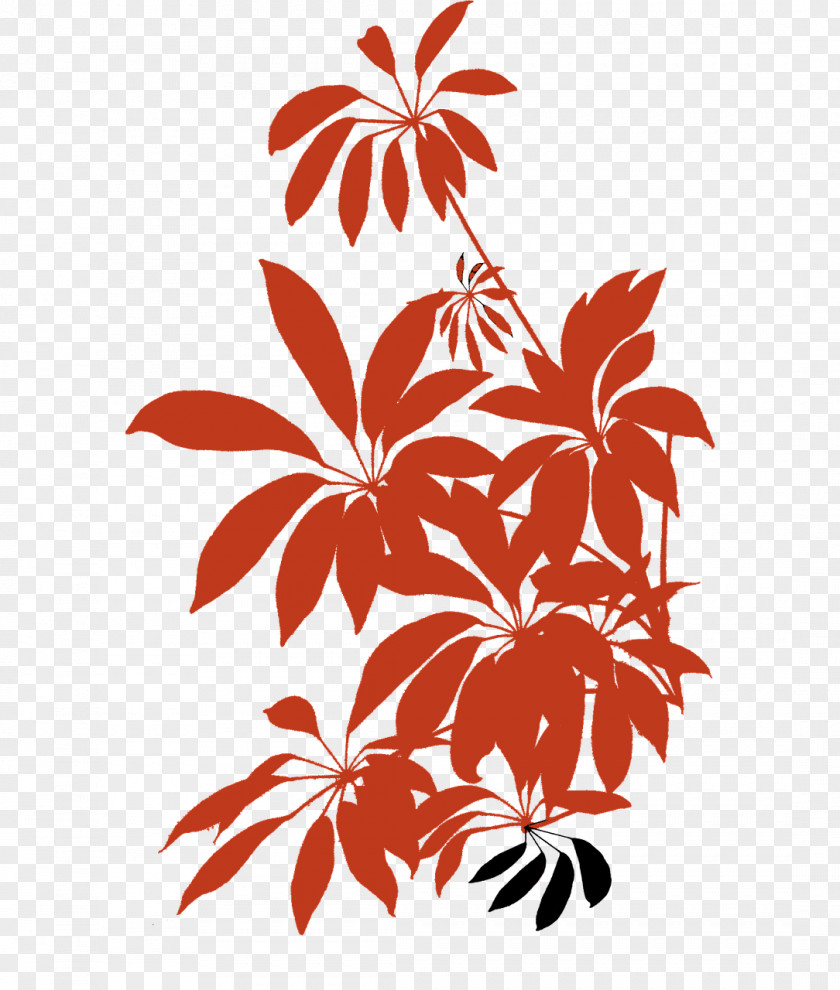 Apartment Ornamental Plant PNG