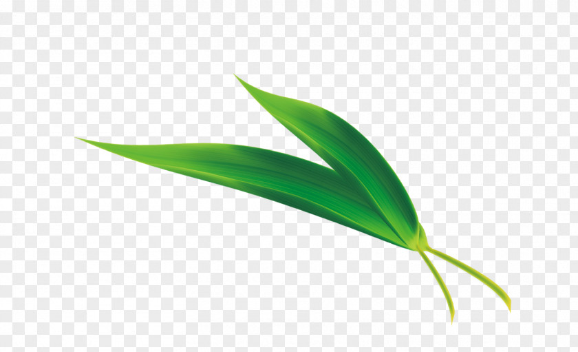 Bamboo Leaves Zongzi Leaf Rice Cake U7aefu5348 PNG