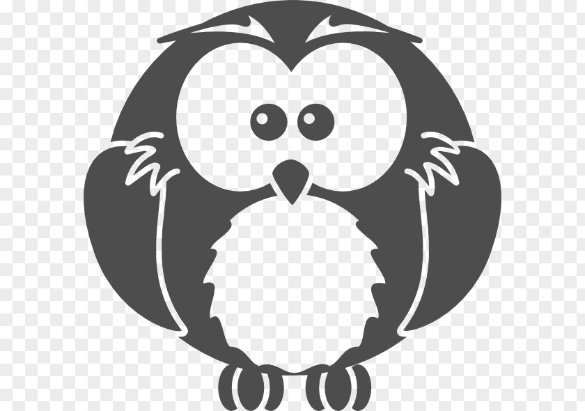 Black And White Cartoon Owls Owl Drawing Clip Art PNG