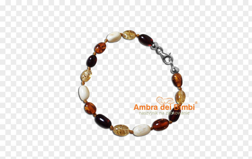 Necklace Baltic Amber Bracelet Bead PNG