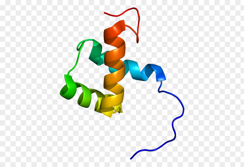 ZEB1 Homeobox Zinc Finger Transcription Factor Protein PNG