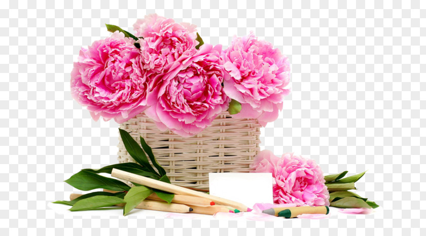 Flower Pink Flowers Basket Rose Desktop Wallpaper PNG