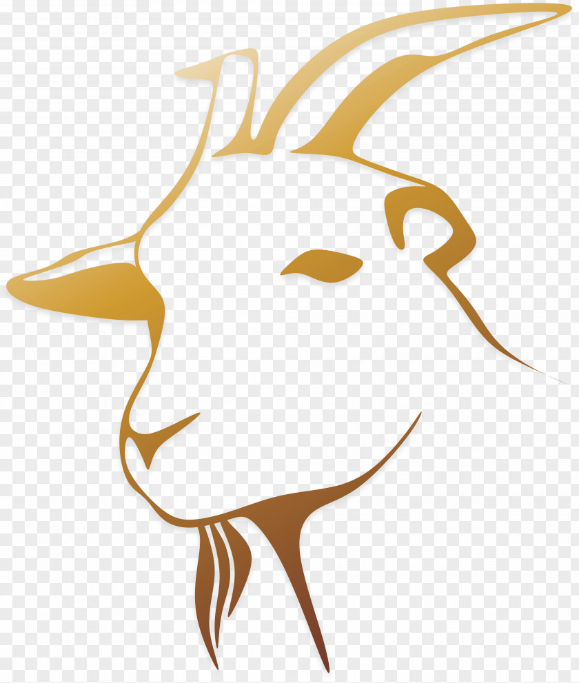 Goat Yellow Illustration Library Boer Line Art Clip PNG