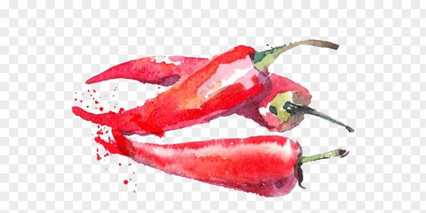 Ink Pepper Watercolor Painting Vegetable Fruit Illustration PNG