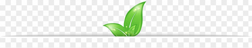 Menu Especial Leaf Desktop Wallpaper Grasses PNG