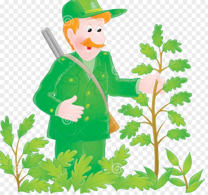 Park Ranger Forestry Clip Art PNG