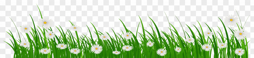 Spring Banner Flower Grasses Clip Art PNG