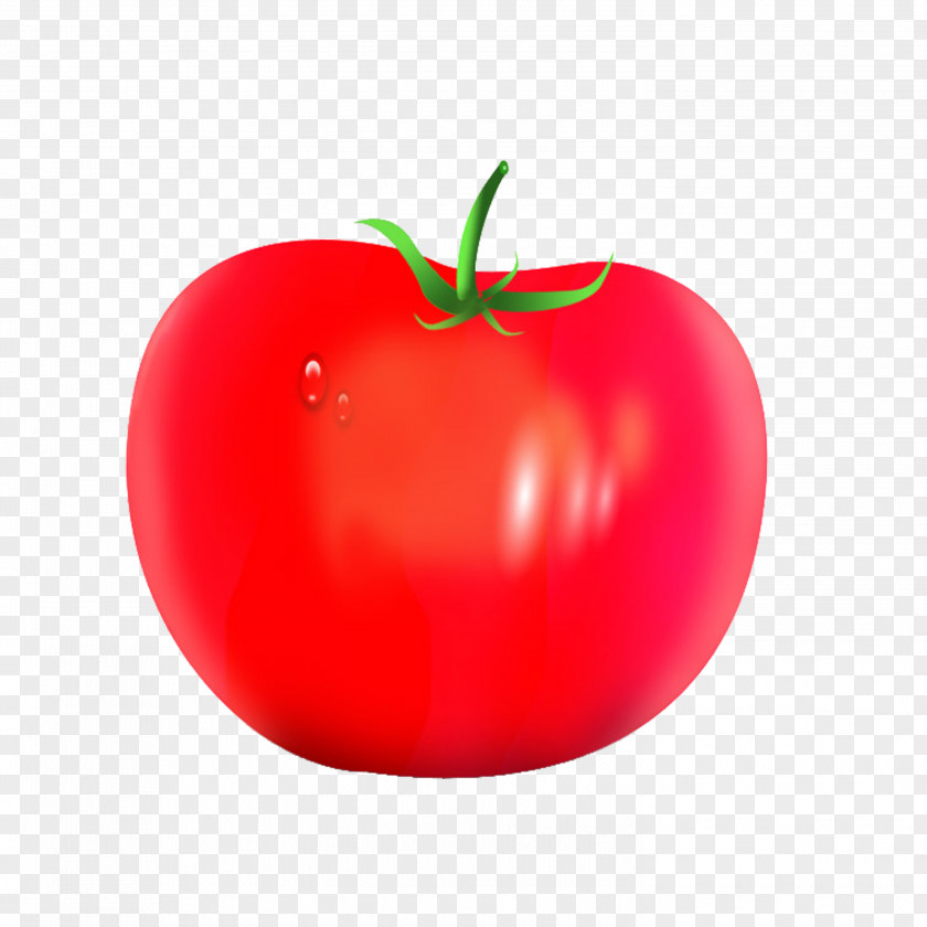 Tomato Plum Juice PNG