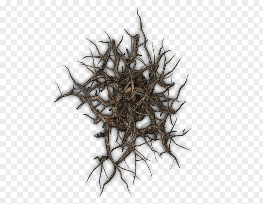 Top View Tree Twig Map Roll20 PNG