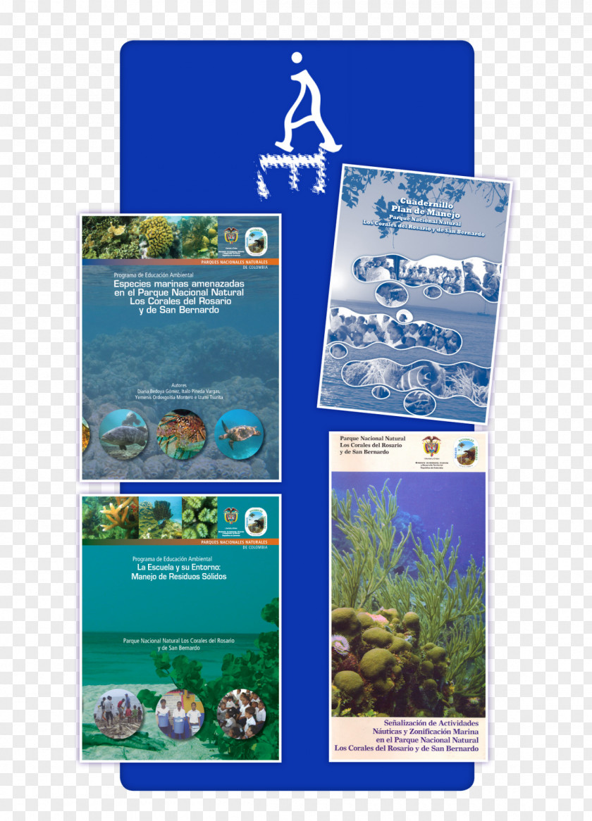 Water Coral Reef Ecosystem Resources Advertising PNG
