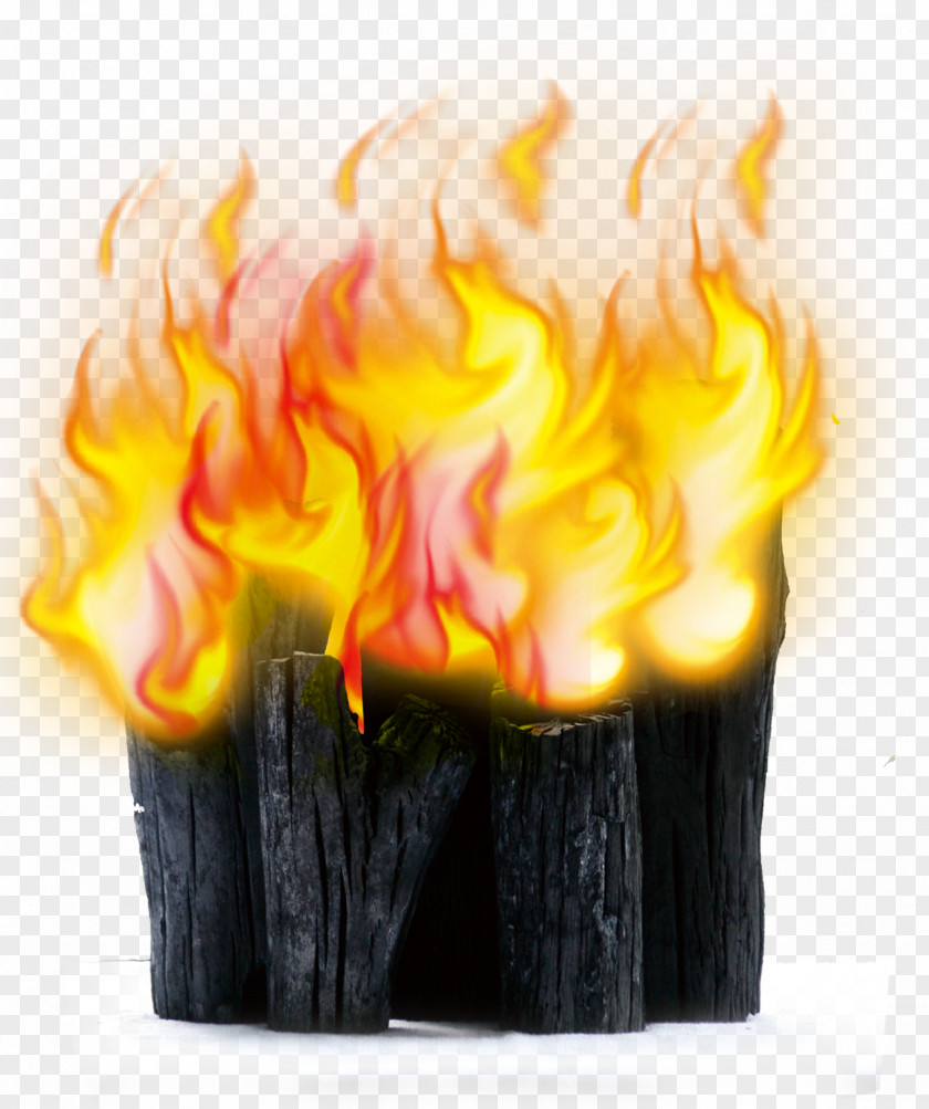 Beautiful Wood Flame Chinese Cuisine Firewood Poster PNG