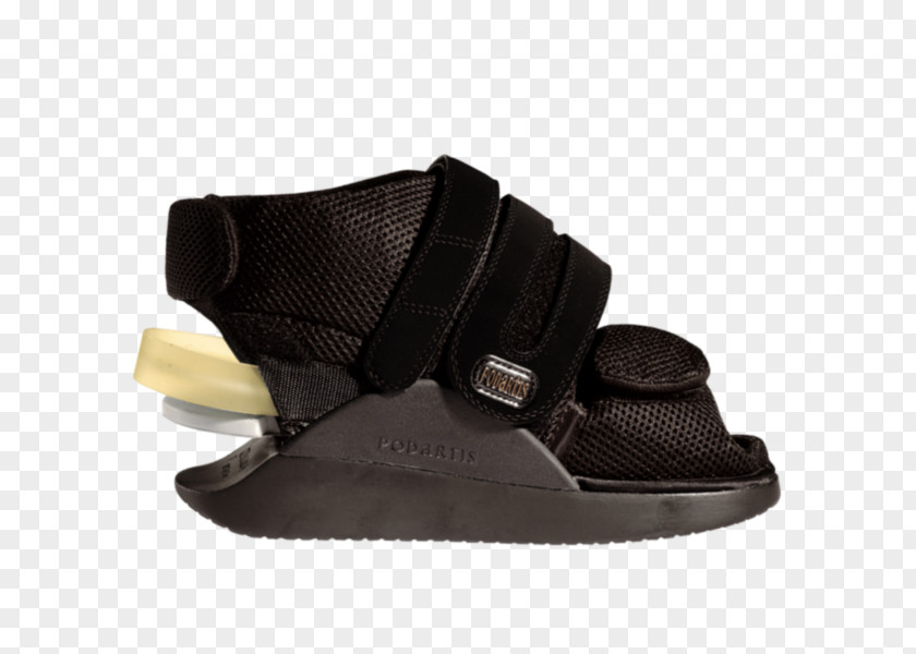 Calcaneus Slipper Shoe Heel Footwear PNG
