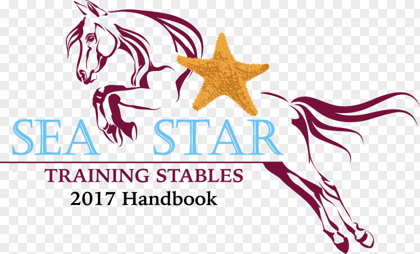 Sea Star Horse Graphic Design Handbook Starfish PNG