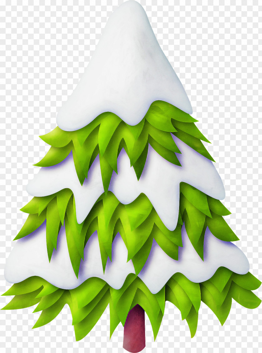 Evergreen Conifer Christmas Decoration PNG