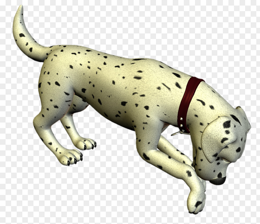 MASCOTAS Dalmatian Dog Puppy Breed Non-sporting Group Cat PNG