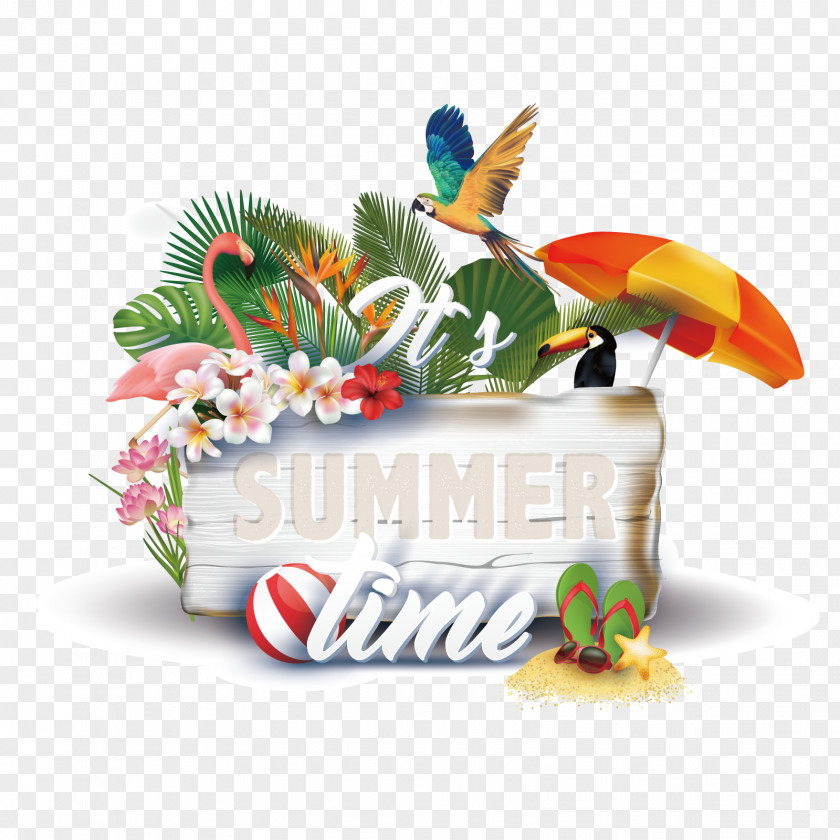 Vector Summer Time PNG