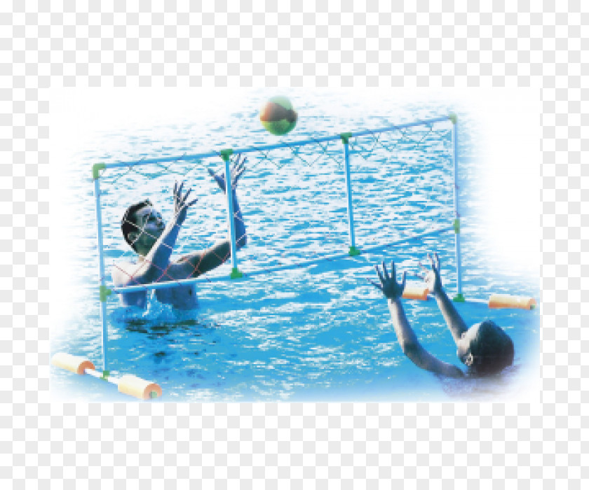 Volleyball Match Swimming Pools Water Basketball PNG