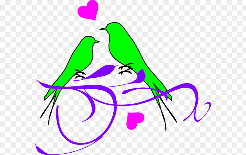 Bird Lovebird Clip Art Openclipart Image PNG