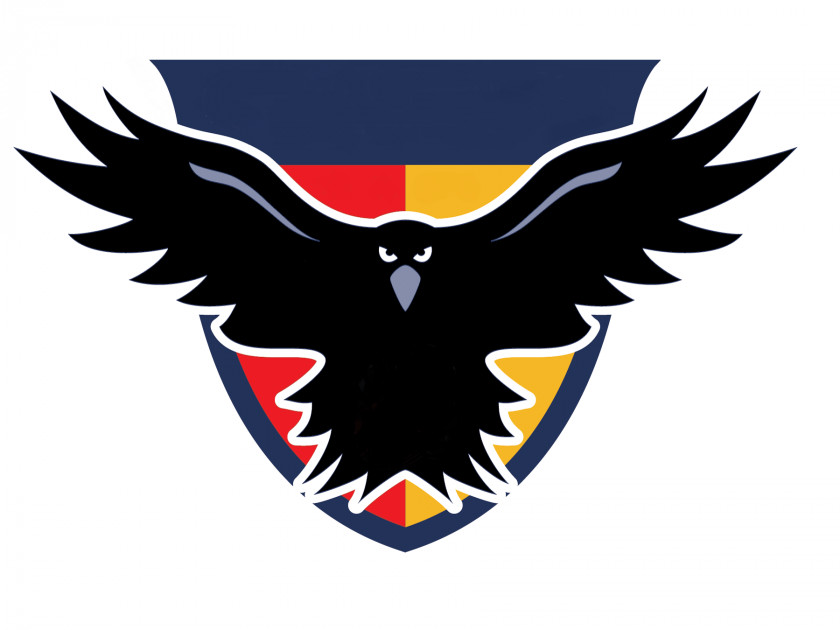 Crow Austin Crows Dallas Magpies Houston Lonestars Australian Football League PNG