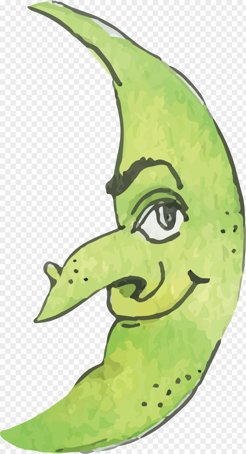 Green Magic Moon Illustration PNG