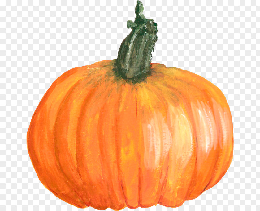 Pumpkin Jack-o-lantern Calabaza Gourd Winter Squash PNG