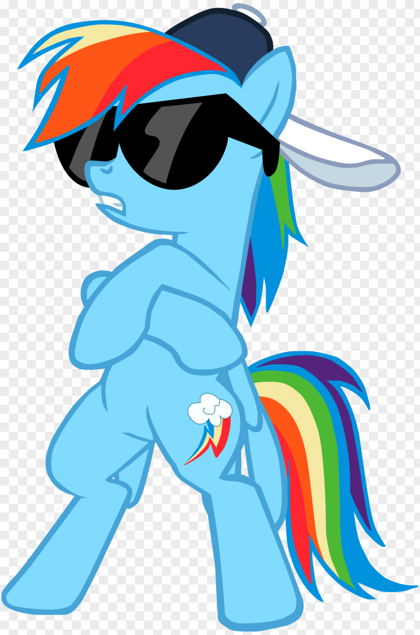 Swag Rainbow Dash Twilight Sparkle Pony PNG