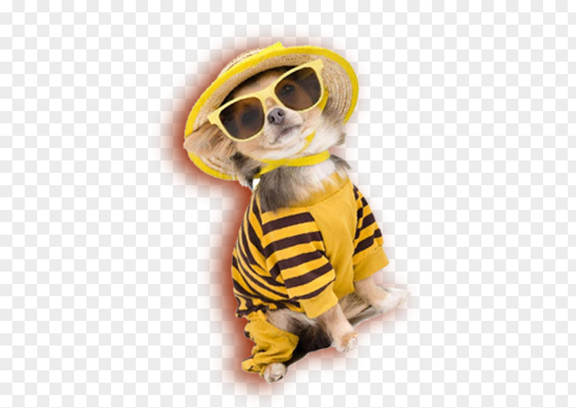 Cool Puppy Dog Cuteness PNG