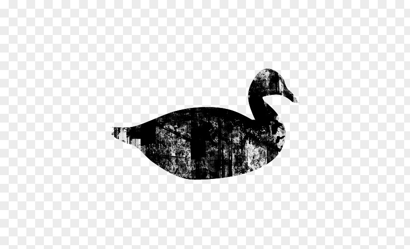 Culture/Society Website FowlDuck Black Duck Garden Goose IforInterview PNG