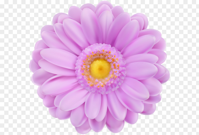 Purple Flowers Pink PNG