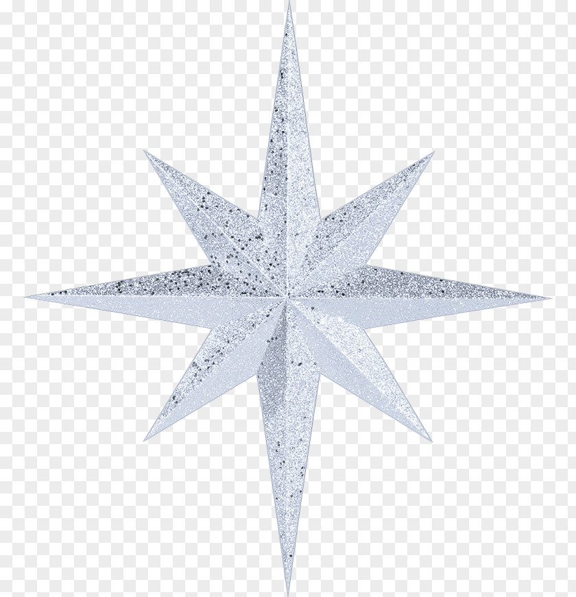 Starfish Irregular Shape Wallpaper PNG