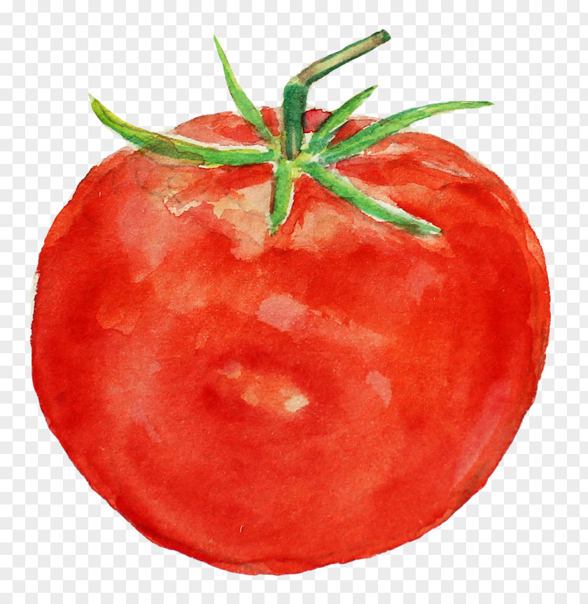 Tomato Plum Lemonade Food Bush PNG