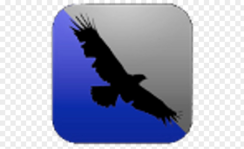 Eagle Bald Beak Sky Plc PNG