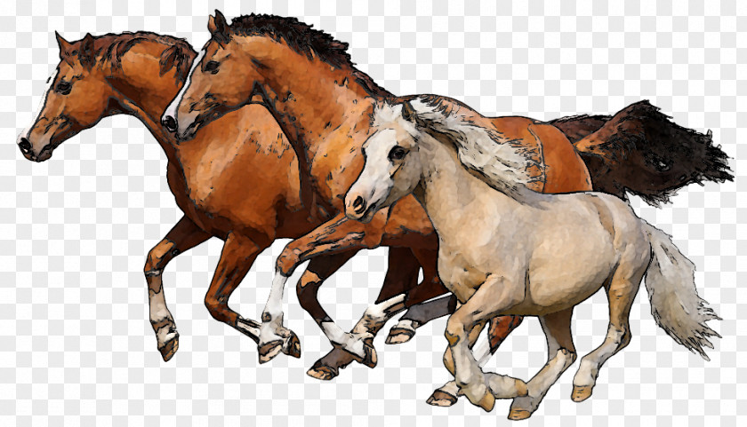 Family Horse Cliparts Let's Learn About Horses Foal Stallion Clip Art PNG