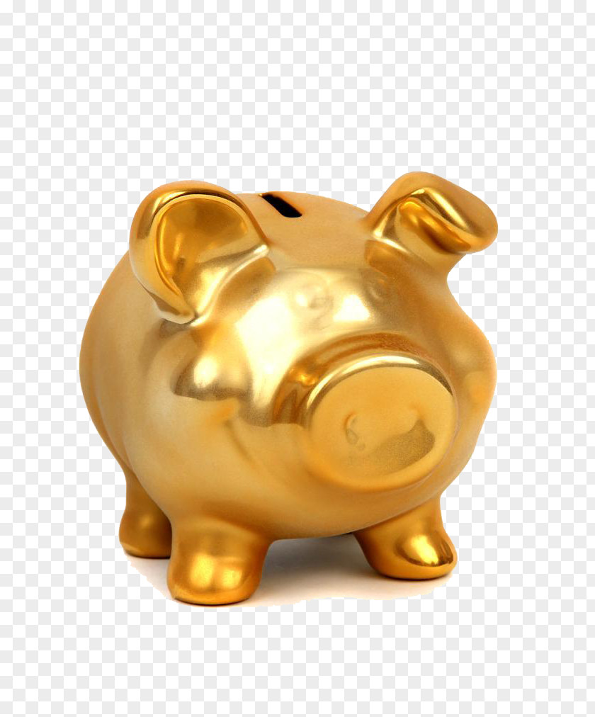 Golden Piggy Bank Stock Photography Gold Coin PNG