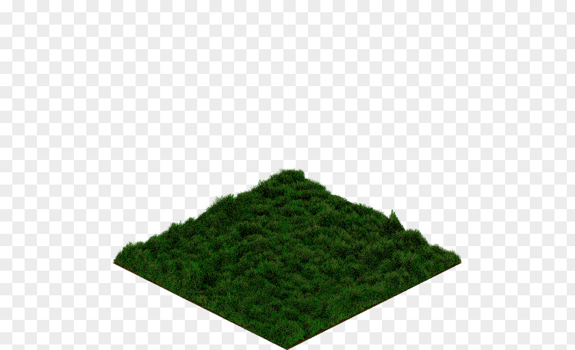 Grassland Green PNG
