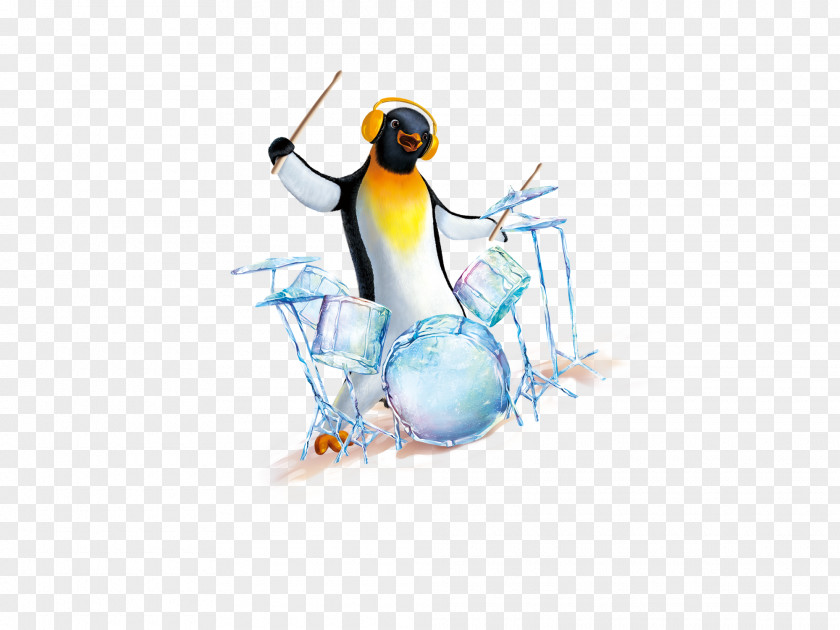 Penguin Drums Bird Wallpaper PNG