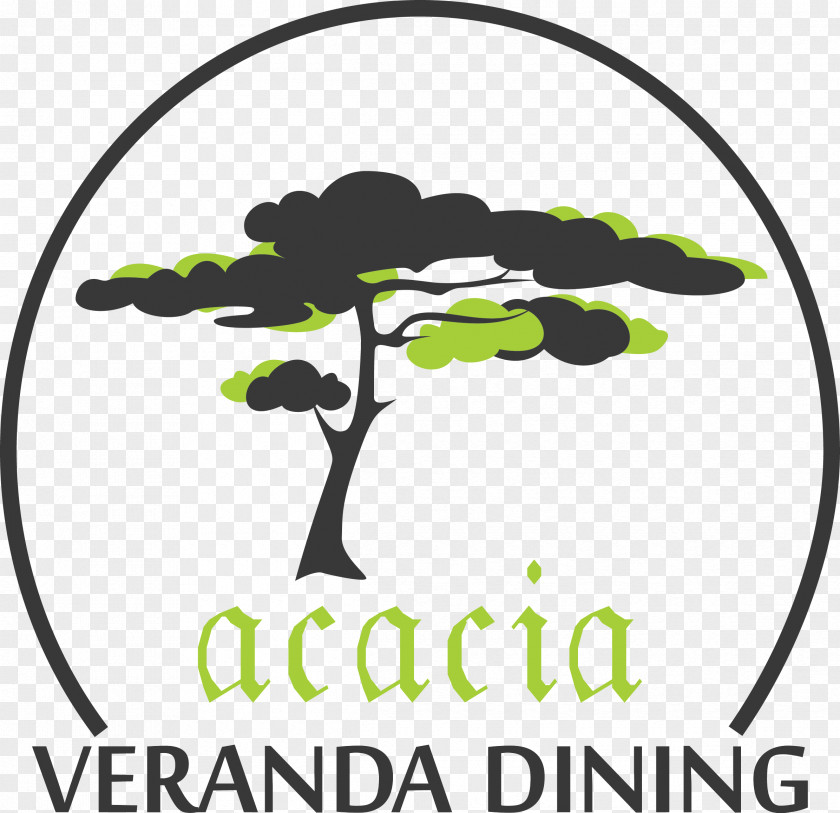 Vachellia Drepanolobium Acacia Dealbata Logo Paradoxa Brand PNG