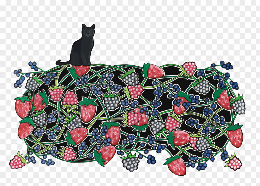 Vector Raspberry And Cat Blackberry PNG