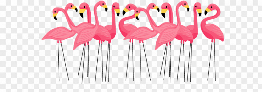 Creative Graphics Plastic Flamingo Lawn Ornaments & Garden Sculptures Clip Art PNG