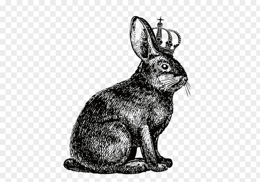 Crown Rabbit Hare Show Jumping Drawing PNG