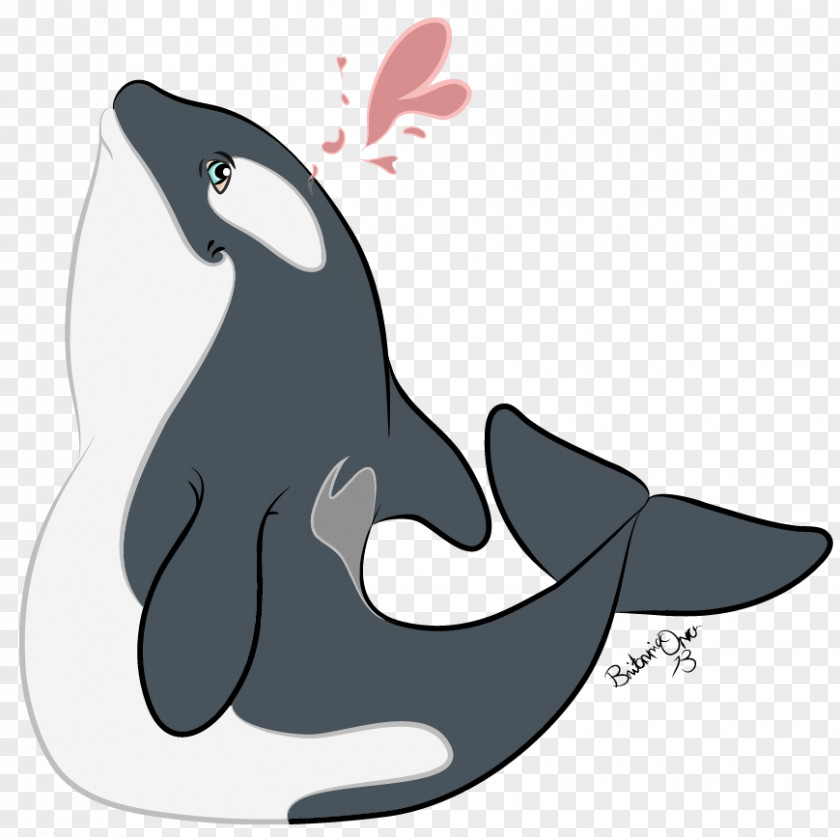 Dolphin Killer Whale Fauna Clip Art PNG