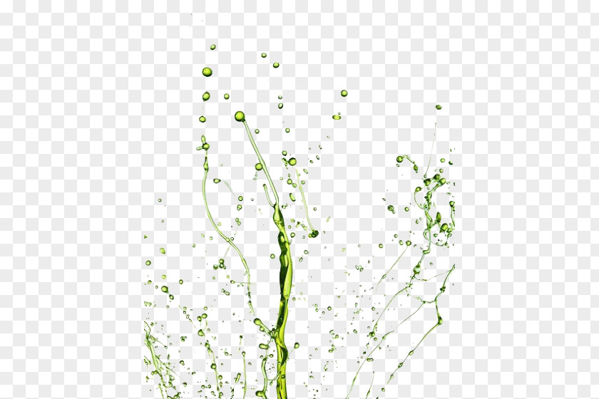 Green Splash Of Water Droplets PNG splash of water droplets clipart PNG