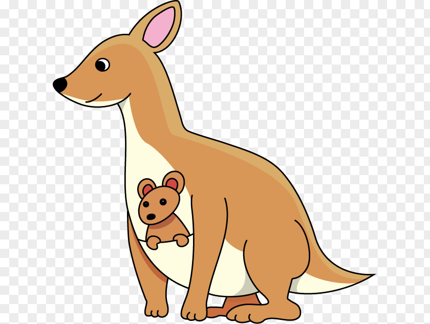 Kangaroo Joey Clip Art PNG