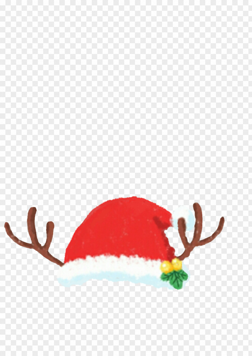 Silly Christmas Hat Day Image Gift PNG