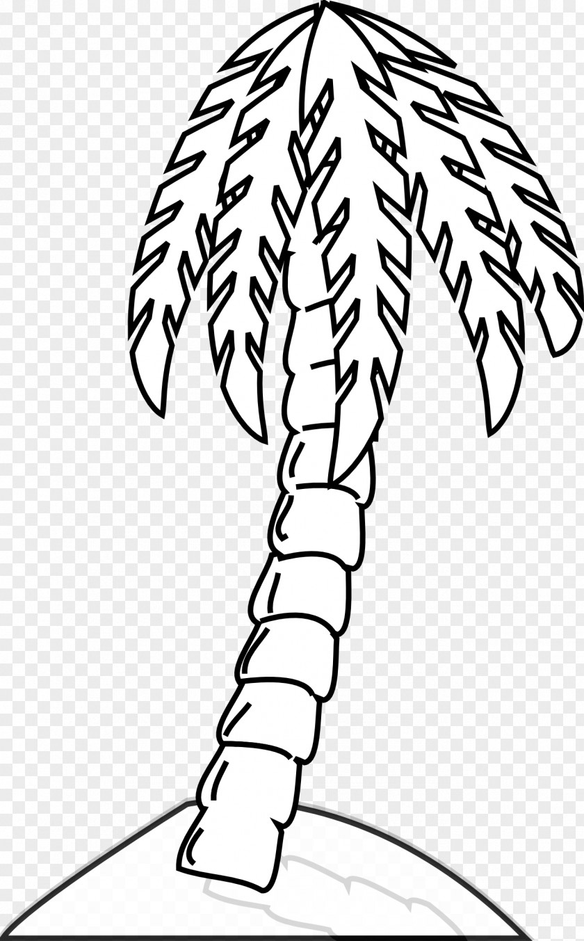 Tree Line Art Arecaceae Drawing Black And White Clip PNG