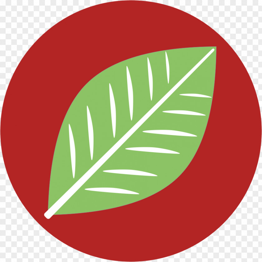 Design Logo Brand Get R Done Tree Deck & Fence Font PNG